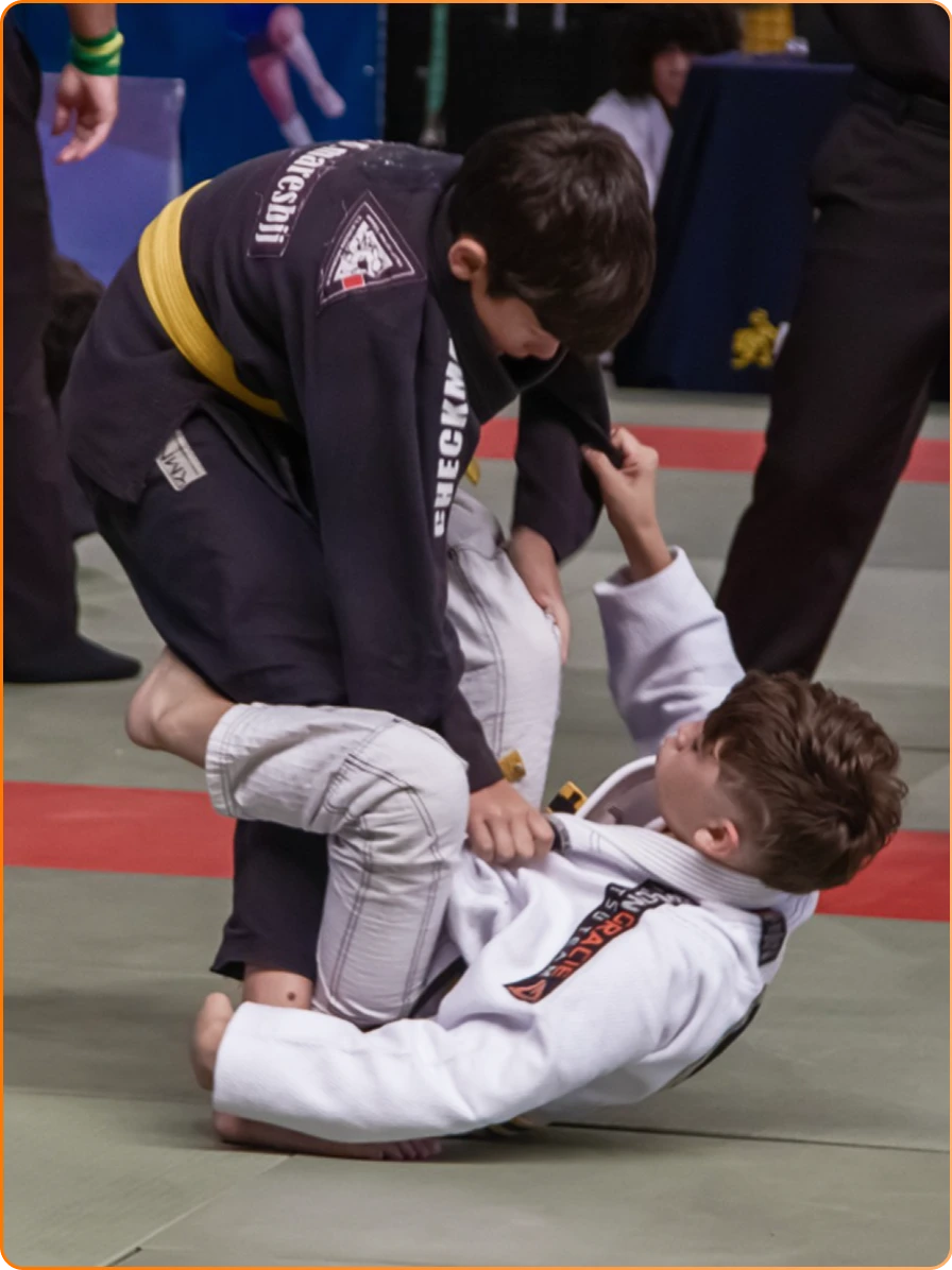 FOTOSNETTAOSILVARILIONGRACIEPALHOCA (11)