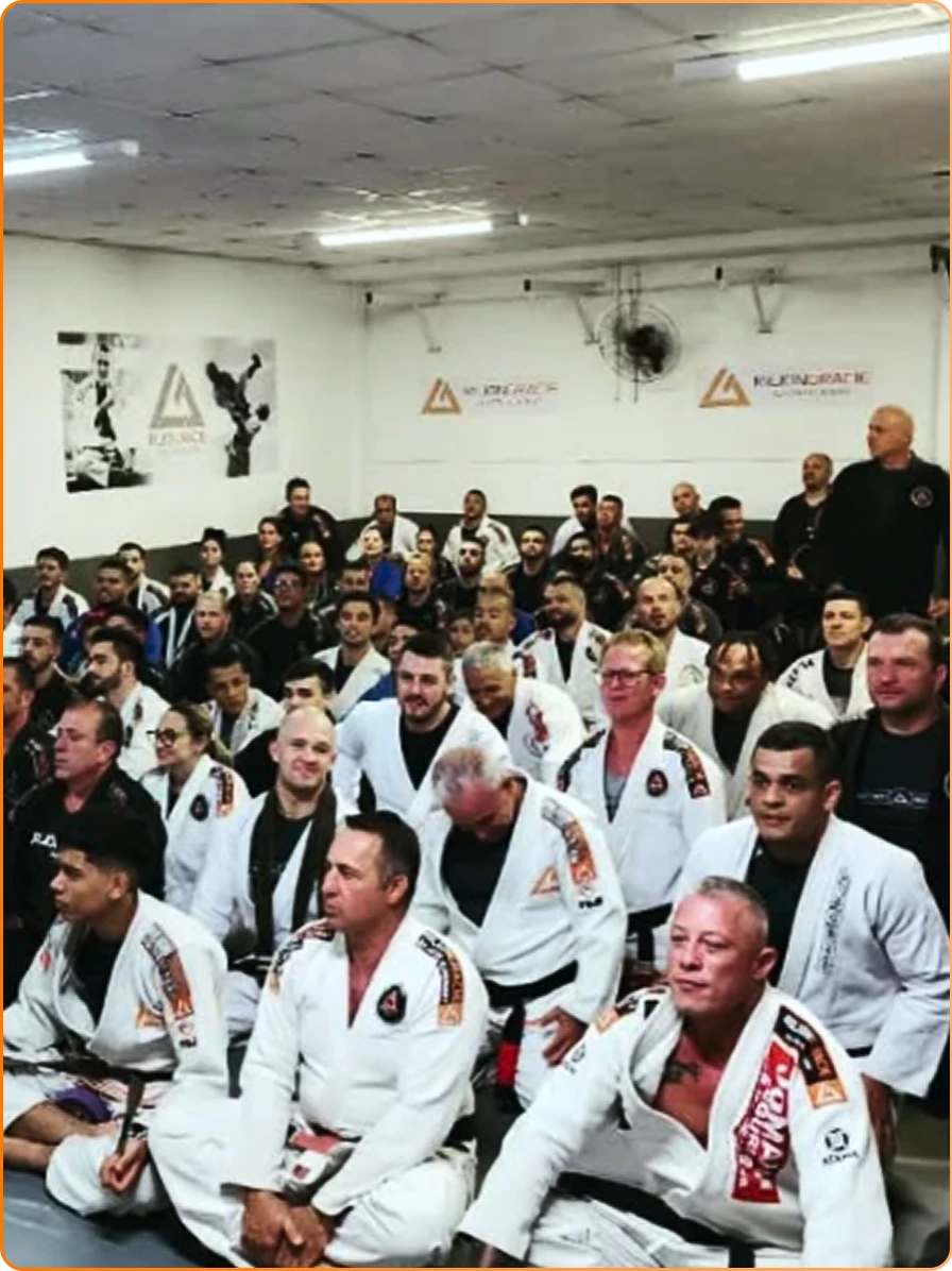 FOTOSNETTAOSILVARILIONGRACIEPALHOCA (2)