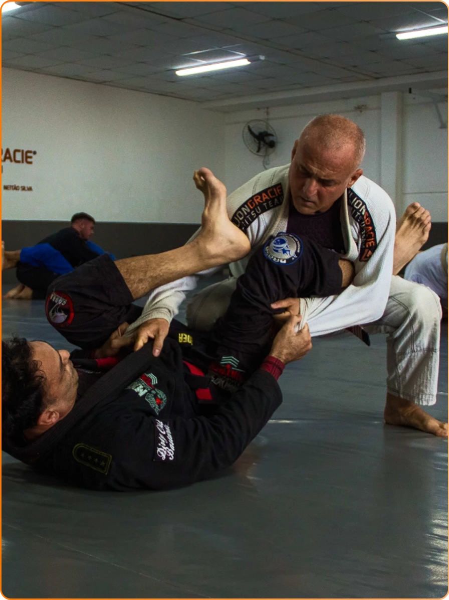 FOTOSNETTAOSILVARILIONGRACIEPALHOCA (3)