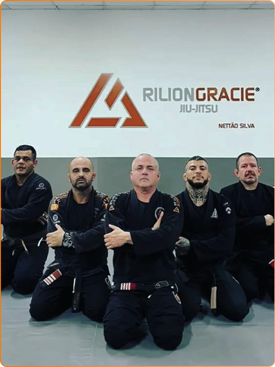 FOTOSNETTAOSILVARILIONGRACIEPALHOCA (4)